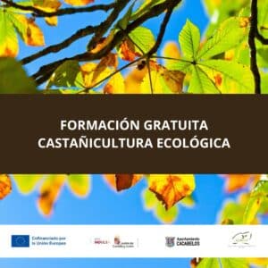 Formación Gratuita Castañicultura Ecológica