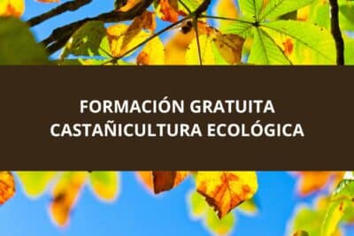 Formación Gratuita Castañicultura Ecológica