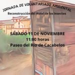 Jornada de Voluntariado Ambiental