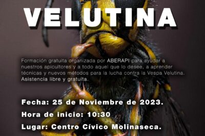 curso contra la vespa velutina cartel