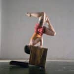 AEI XIV Gala Internacional de Circo CARTEL