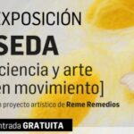 Taller de meditación y creatividad en el Museo de la Energía portada