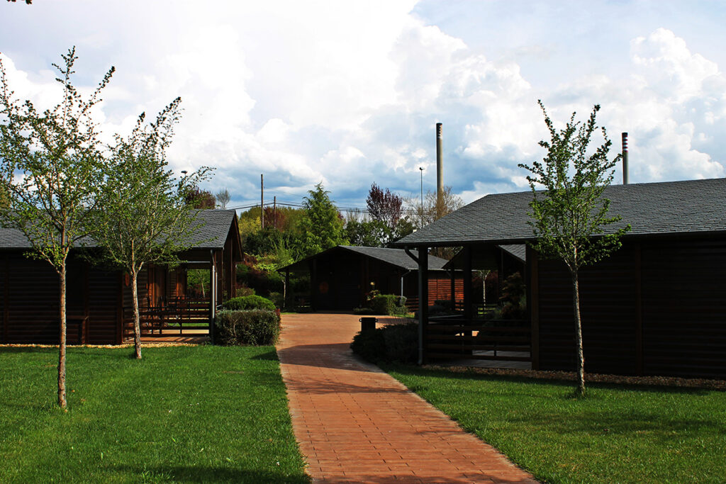Bosque de los Sueños 1