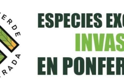 Eliminación de Especies Exóticas Invasoras en Ponferrada portada