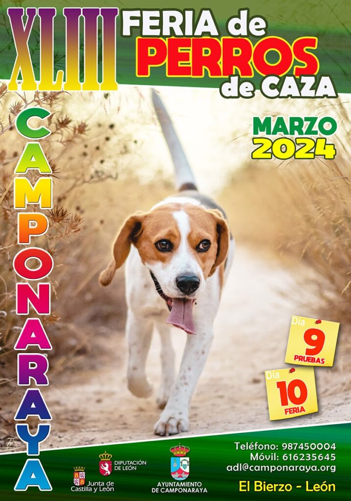 Feria de Perros de Caza de Camponaraya 2024 cartel