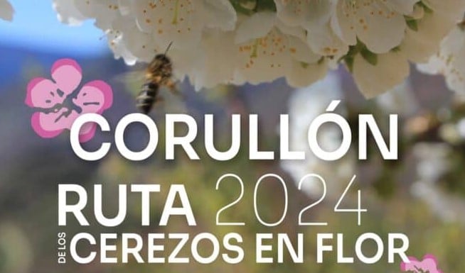 Ruta de los Cerezos en Flor 2024 portada