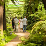 Exposición Fuego Verde en la Térmica Cultural
