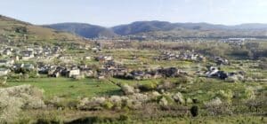 corullon