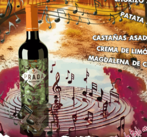 portada XX Fiesta del Vino Nuevo