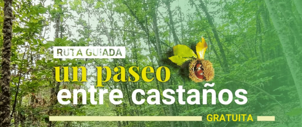 portada ruta entre castaños