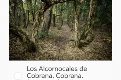 ALCORNOCALES DE COBRANA