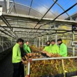 CIUDEN Vivero_Pobladura2