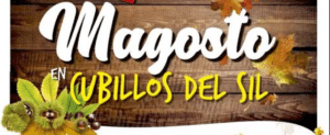 magosto cubillos portada