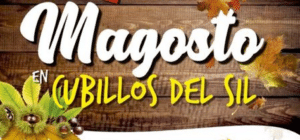 magosto cubillos portada