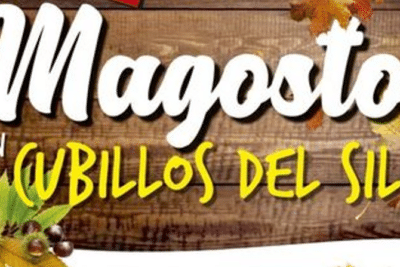 magosto cubillos portada