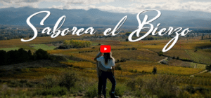 saborea el bierzo