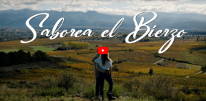 saborea el bierzo