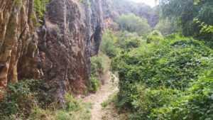 Ruta guiada al despoblado de La Balouta y el Túnel de la Palombeira ...
