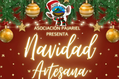 portada navidad artesana