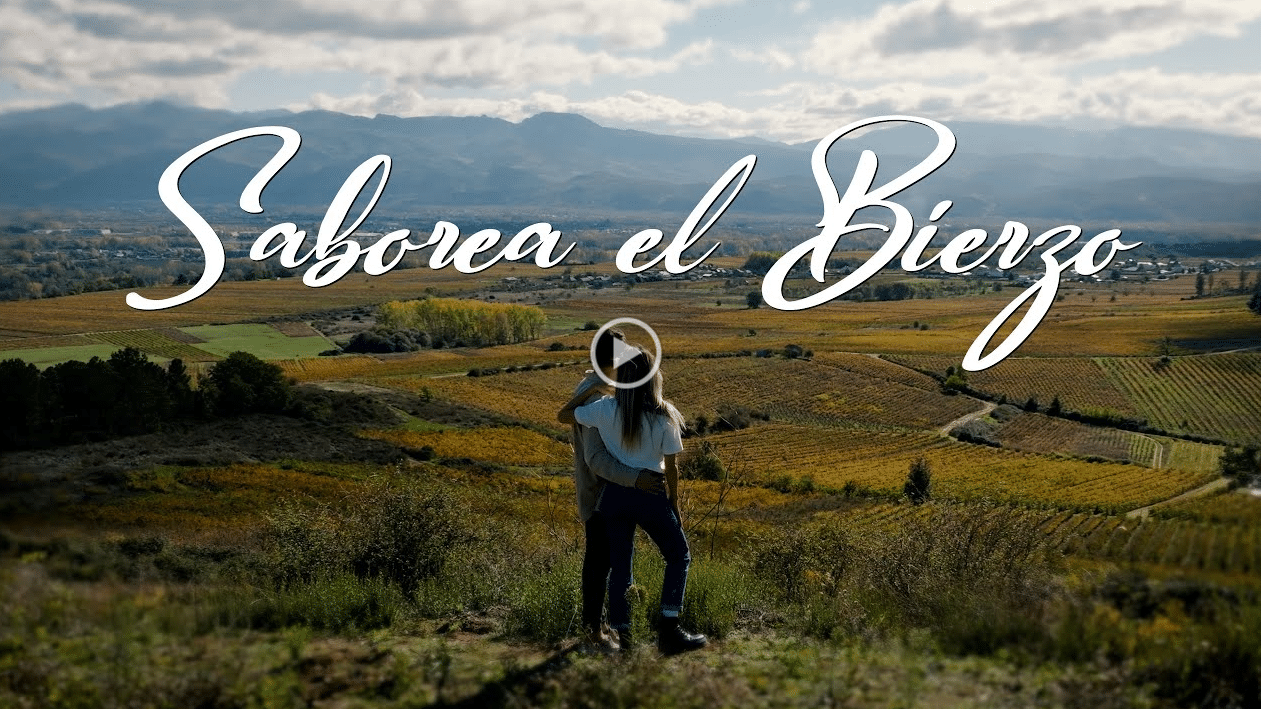 SABOREA EL BIERZO 2