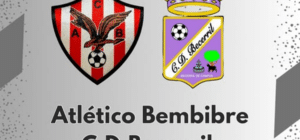 bembibre becerril portada