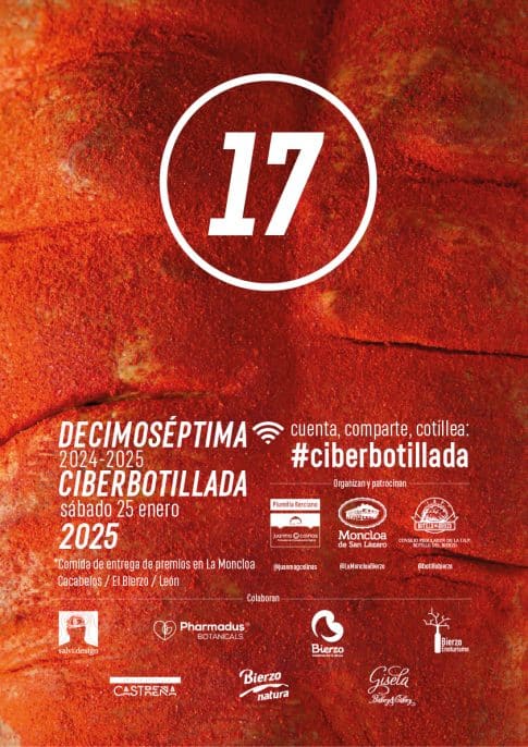 cartel_ciberbotillada_2025-e1737549785825