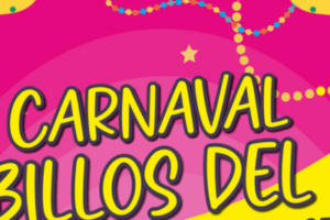 portada carnaval cubillos del sil