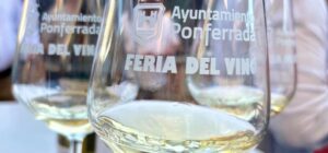 Feria del Vino 2024