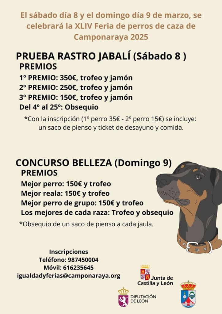 feria de los perros de caza en camponaraya 2025