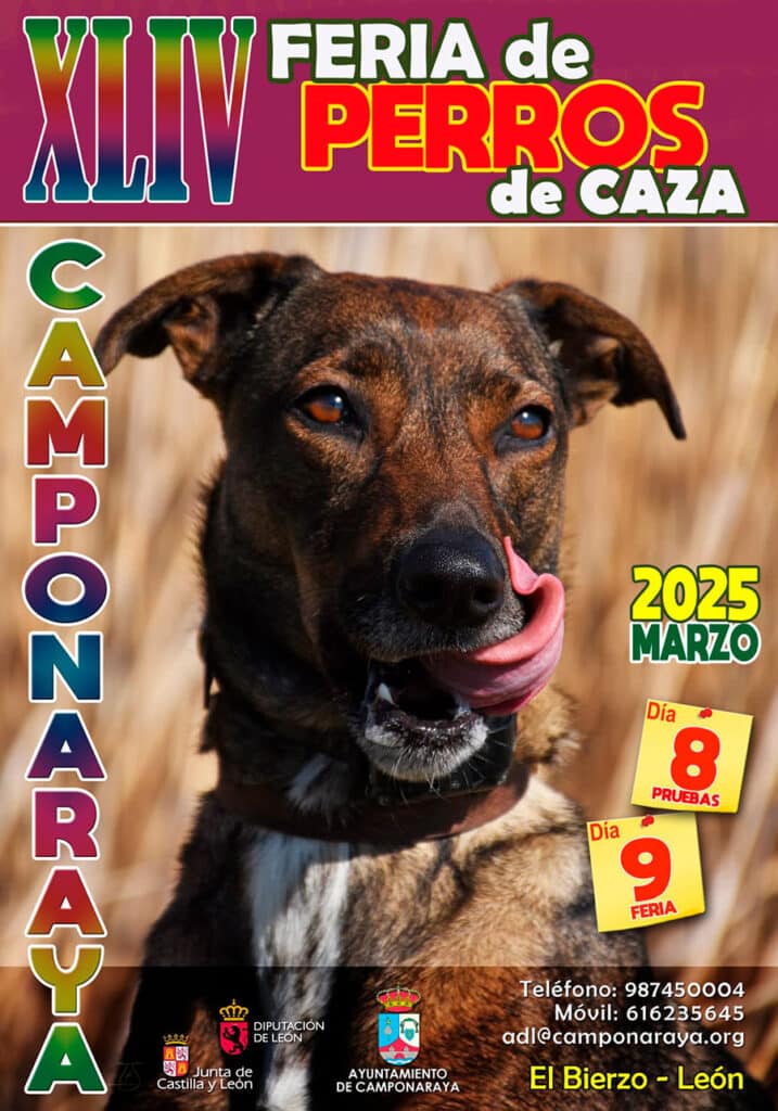 feria de los perros de caza en camponaraya