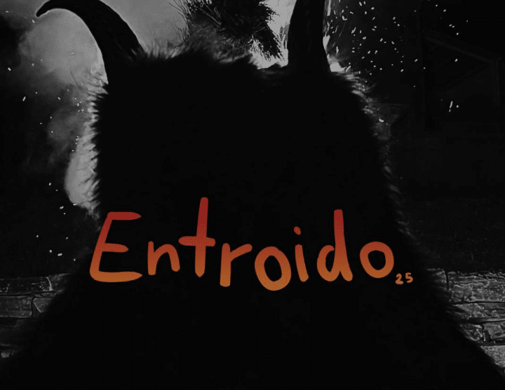 portada entroido valtuille