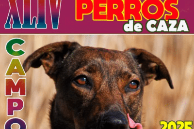 portada perros de caza