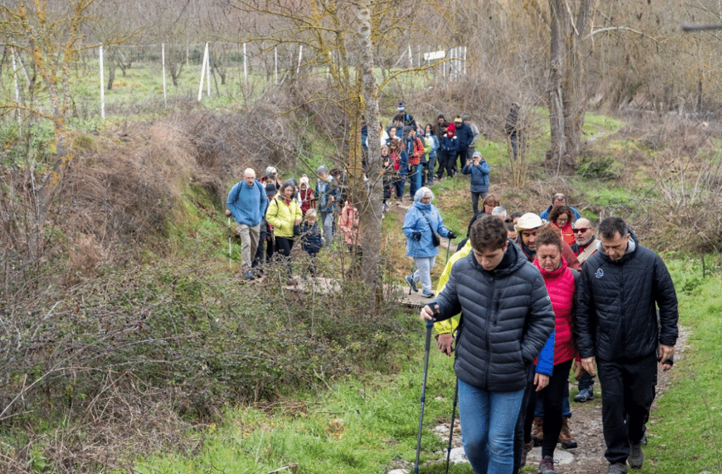 portada ruta anillo verde exito