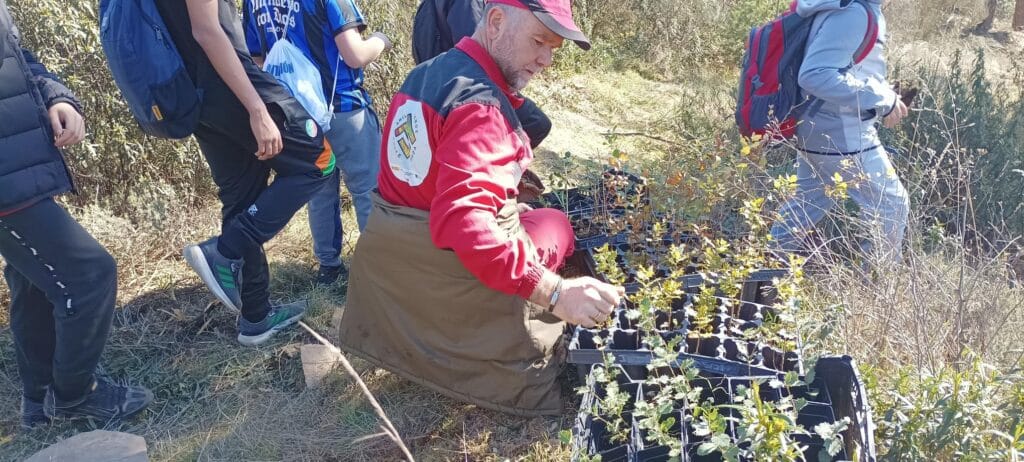 reforestación monte pajariel 2