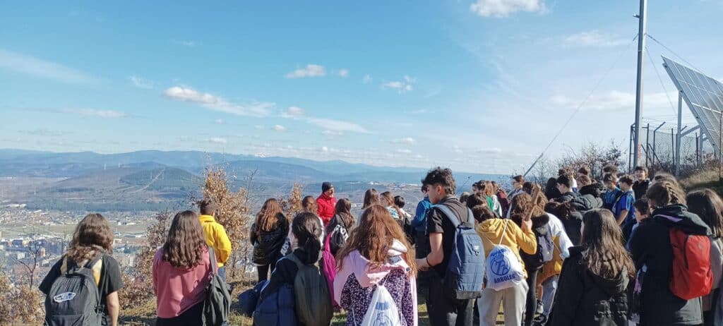 reforestación monte pajariel