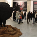 Visita guiada Las huellas de Altamira (1)