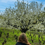 portada ruta corullon