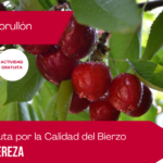 portada ruta de la cereza