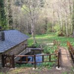 MOLINO DE VEGAMOLÍN (ESPINOSO DE COMPLUDO)