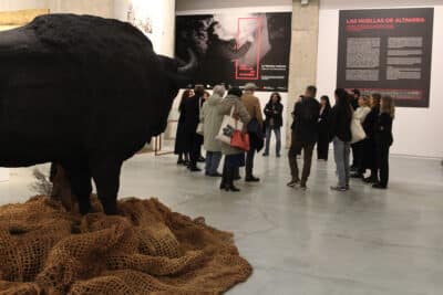Visita guiada Las huellas de Altamira (2)