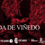 portada poda viñedo
