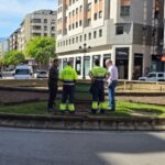 Fuentes Ornamentales 1