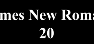 Times New Roman 20 en el Teatro Bergidum