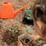 agenda termica museo energia