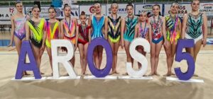 Gran Actuación del Club Aros 5 de Ponferrada en el Campeonato Provincial Promesas