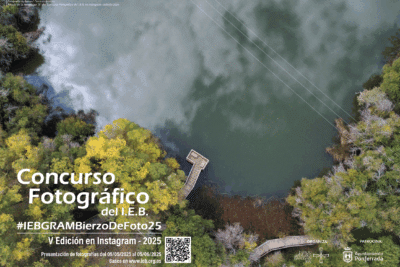 concurso de fotografia