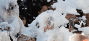 fiesta de la espuma