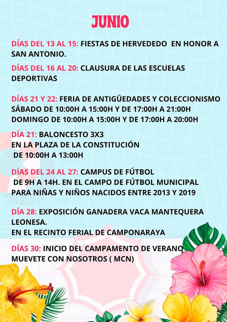 Programa Cultural verano camponaraya 2025 2