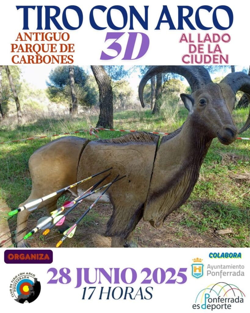 Torneo 3D