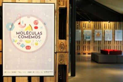 ‘Las moléculas que comemos’